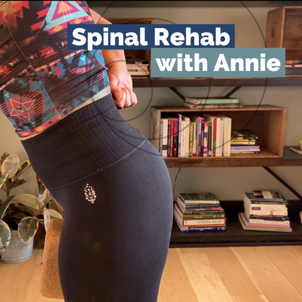 Spinal Rehab