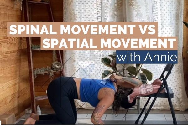Spinal Movement Vs Spatial Movement