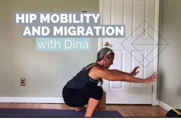 Hip Mobility And Migration