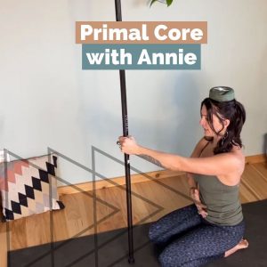 Primal Core Workshop