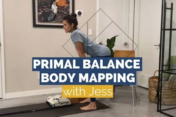Primal Balance Body Mapping