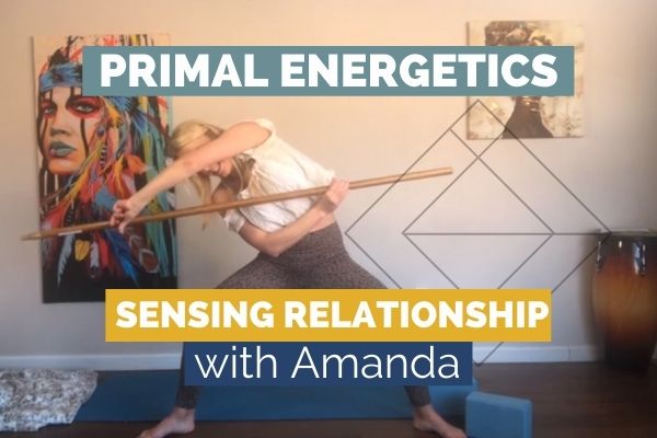 Primal Energetics - Sensing Relationship