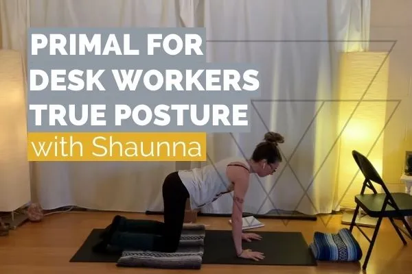 Primal For Desk Workers