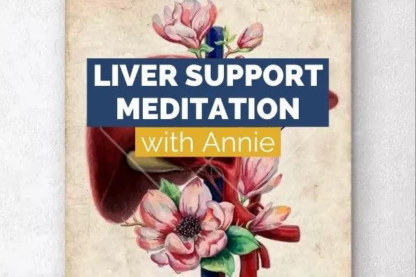 Liver Support Meditation